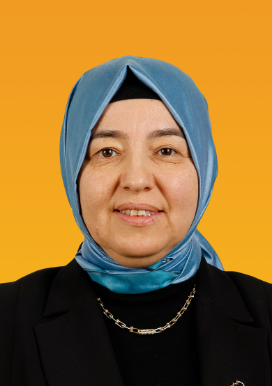 RAZİYE IŞIKLI GİDER